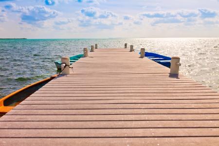 Dock Cleaning